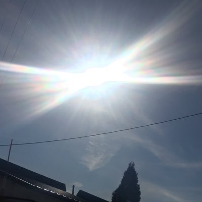 てきとーに。