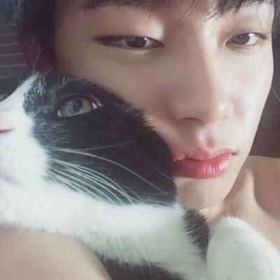 (roleplay acc) A guy who dedicate his life to music. He likes cat more than he love himself. Affiliated with chun entertainment & JBJ.