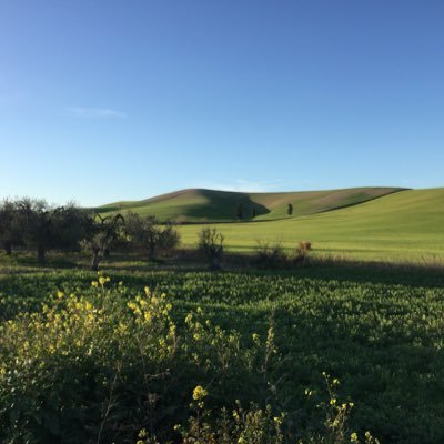 lucianostiglia1's profile picture. 