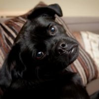 Matt Bookler (@mattbookler) 's Twitter Profile