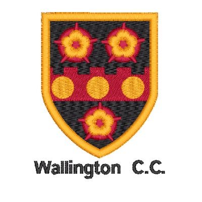 Friendly cricket club in surrey with league and friendly adults & colts teams