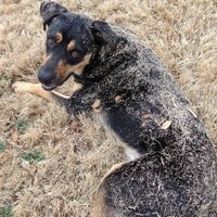 Hatton1 (@fargomama) 's Twitter Profile