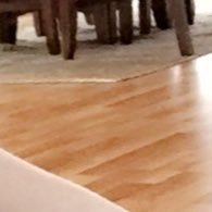 CogentAmaryllis's profile picture. ⠀⠀⠀⠀— ʏᴏᴜ'ʀᴇ sᴀʏɪɴɢ ɪᴛ's ʜᴏᴘᴇʟᴇss, ᴛʜᴀᴛ ɪ sʜᴏᴜʟᴅ ʜᴏᴘᴇ ʟᴇss.