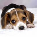 Ellis  Cain Jr. - @EllisCainJr - Twitter