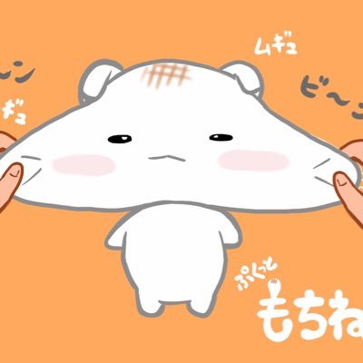 ぷくっともちねこさんのプロフィール画像
