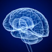 USBrainAlliance (@usbrainalliance) 's Twitter Profile Photo USBrainAlliance (@usbrainalliance) 's Twitter Profile Photo