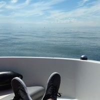 Bodensee-Info (@bodenseeinfo) Twitter profile photo