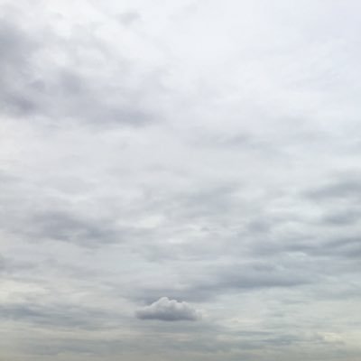 zihaoowi's profile picture. 