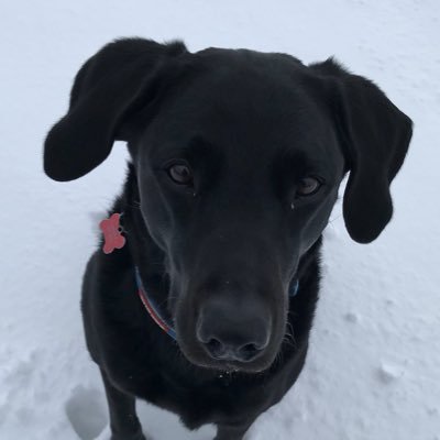 nisbet_marie's profile picture. 