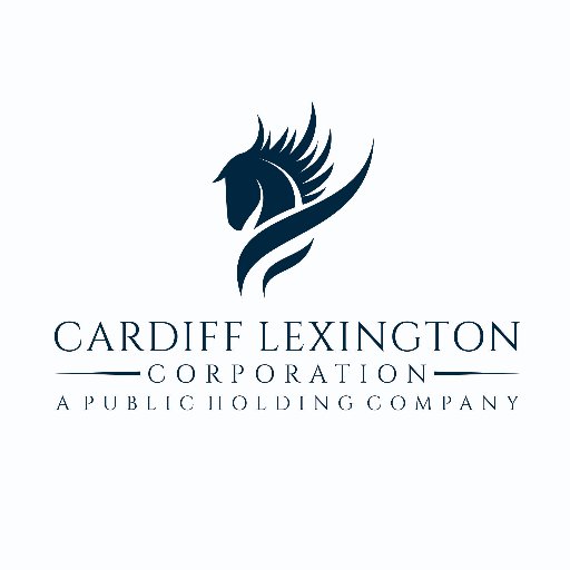 Cardiff Lexington is a public holding company (OTCQB: CDIX) that acquires and opertes small-to-mid size healthcare companies.
