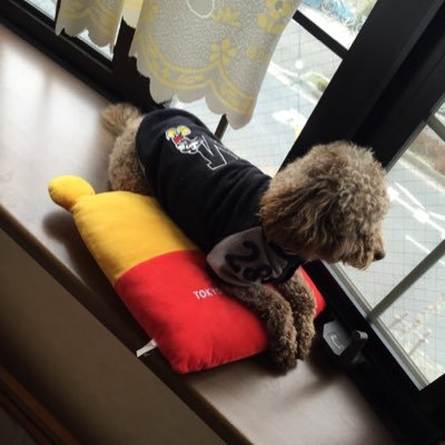 kaiton830's profile picture. 