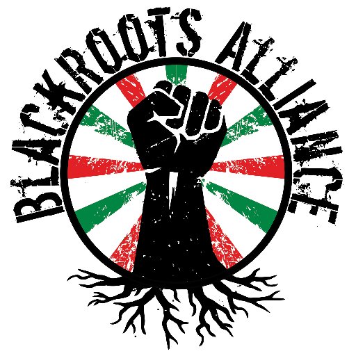 We're new energy moving in organizing spaces, building power and community from a place of Black love & accountability.
Our roots go deep, our branches go high.