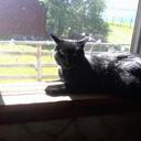 Mandy Doster - @NurseMandyD - Twitter