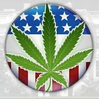 I love weed!  But…ironically… I’m not a fan of the way weed has been “legalized”!
Cannabis should have been taken off the “Schedule 1” drug list 40 years ago!