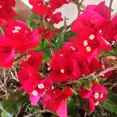 yukariさんのプロフィール画像