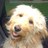 ggbrown's profile image