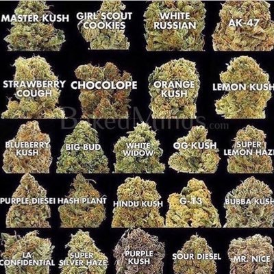 Drugaddicts__'s profile picture. ((関東)) 神奈川から野菜押しまーす🥦