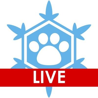 NordicFuzzCon Live