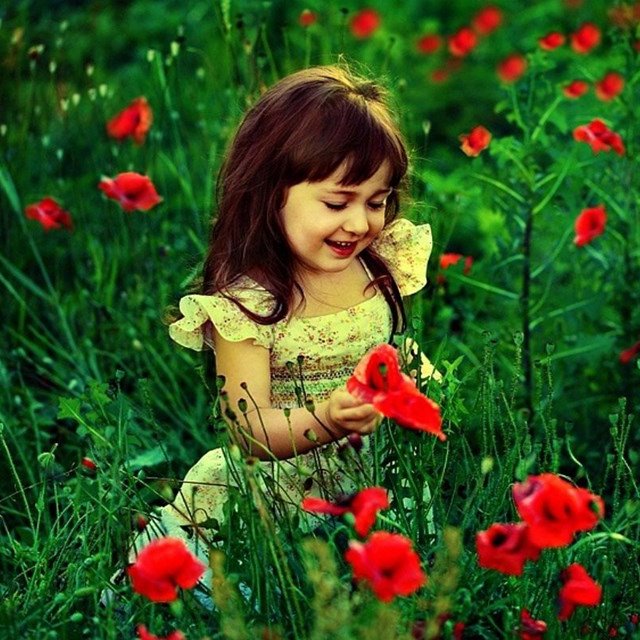 sabihaali252's profile picture. 