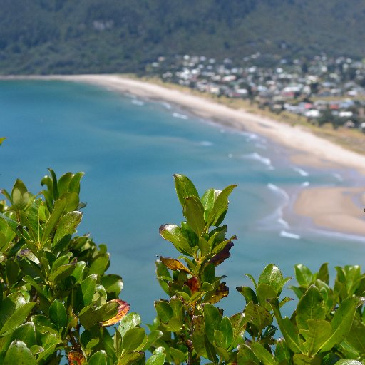 cris_vlo's profile picture. 