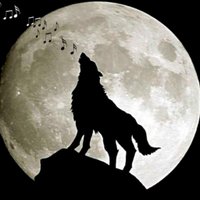 Edu Erlemann PY2RN (@py2rn) 's Twitter Profile Photo Edu Erlemann PY2RN (@py2rn) 's Twitter Profile Photo
