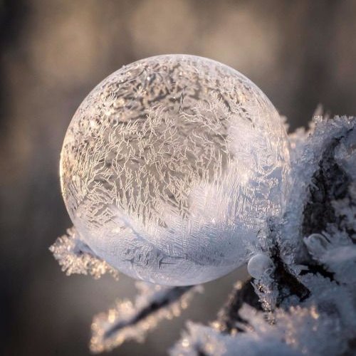 Dominic1Xxx's profile picture. 