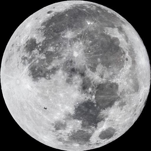 llamakyu's profile picture. 