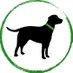 Colorado CBD Dog Treats (@ColoradoDogCBD) Twitter profile photo