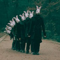 Stockholm Sindrom (@myrabbithole2) 's Twitter Profile