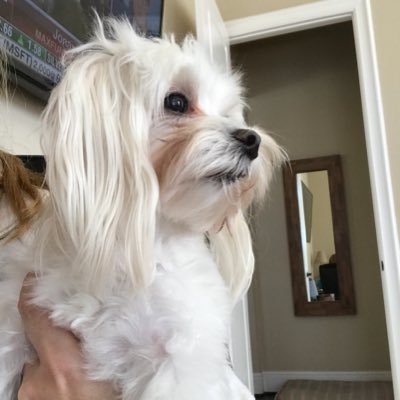 KBeck523949's profile picture. Mom, wife and career women. I love Freedom, America and Our Great President Trump. “Truth, Justice and the American way”. God Bless America. #MAGA #SethRich