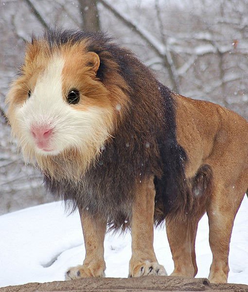 granannetay's profile picture. 🎸🎧