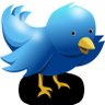 PatMinelli2's profile picture. Editor/Writer
