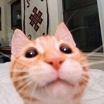 1625Antonio's profile picture. 