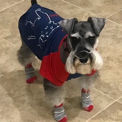 GGoodney_LASS's profile picture. 