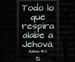 josesalas678's profile picture. Ingeniero Electricista