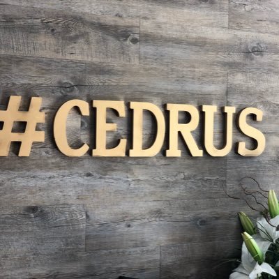 Authentic Lebanese food with a modern twist. A culinary journey for the palate and senses. Come experience what Cedrus has to offer