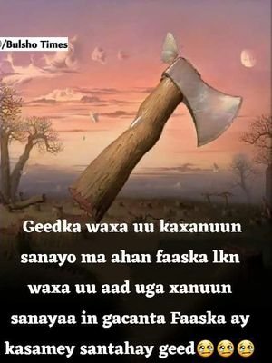 IBuskeeti's profile picture. Somali somali baa leh 
 Cadawga indho ma lahan in uu idin kala geyo moye  
 Nabad iyo nolol