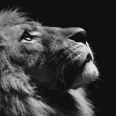 goaloriented812's profile picture. 