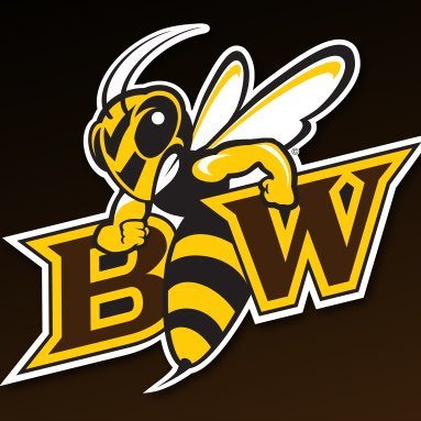 Official page of Baldwin Wallace Women’s Tennis Team 🎾👟 Division ||| 💪 OAC 🔥