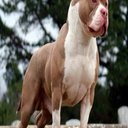 travis Herrera - @AngelDa79271211 - Twitter