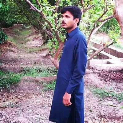 AbidShami's profile picture. computer since