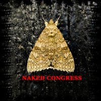 Naked Congress(@NakedCongress) 's Twitter Profileg