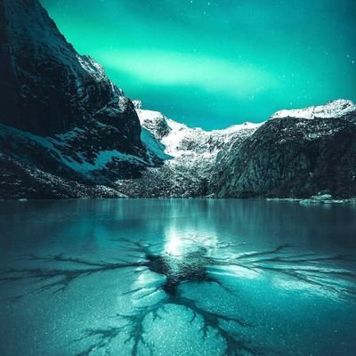 1_ddrive's profile picture. 