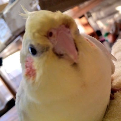 壁打ち