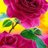BiN_13_Nh_JeNa's profile image