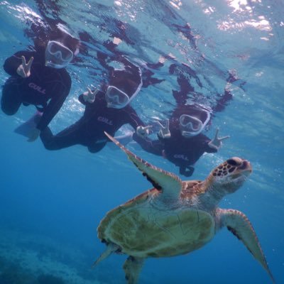 kaii1230's profile picture. 