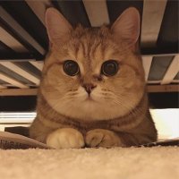 sandian (@ziroc66) Twitter profile photo