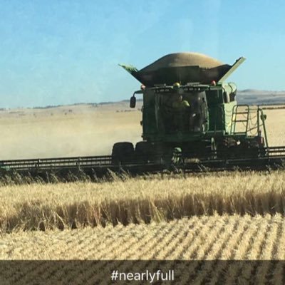 TrentTh07114148's profile picture. 