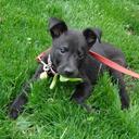 Erin McCamish - @RelativelyEMc2 - Twitter