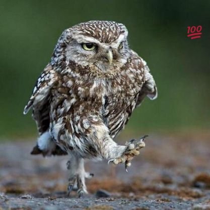 q8P7gOLqqlojBpu's profile picture. இந்த உலகத்தில் வாழ்வதே கடினம் அதுவும் நல்லவனாக வாழ்வது மிக மிக கடினம்...